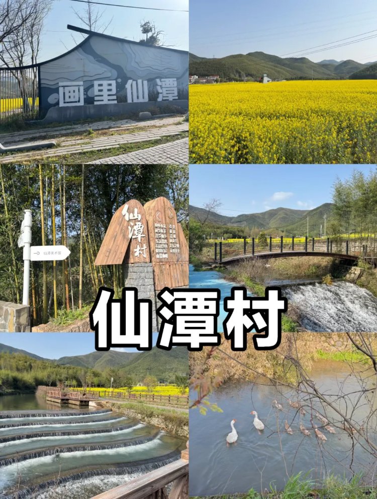 26051418142952854.jpg